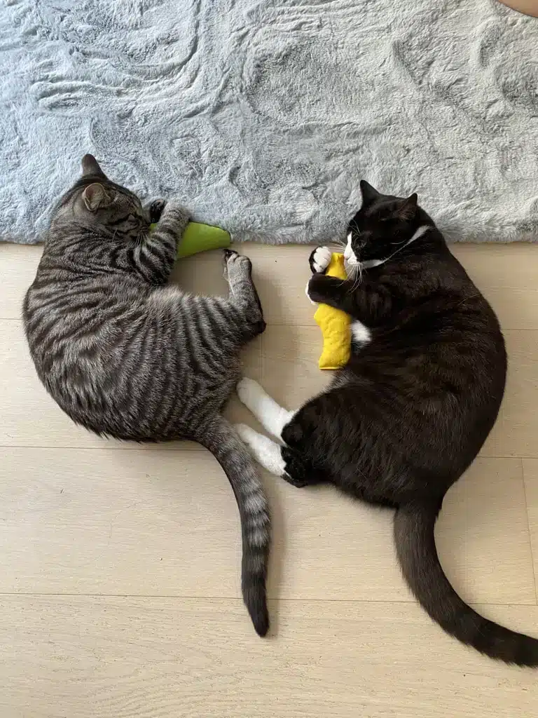 Jeff och Joris leker med leksaker