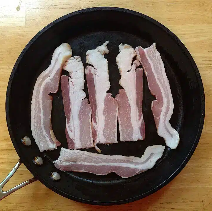 Kan katter spise bacon? Bild