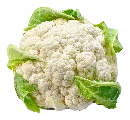 Kan katter spise blomkål? Bild