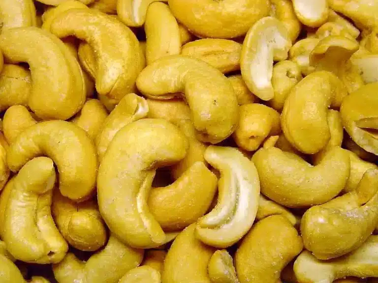 Kan katter spise cashewnøtter? Bild