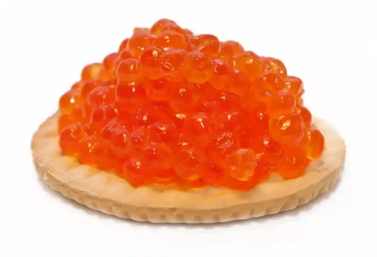 Kan katter spise fiskeegg? Bild