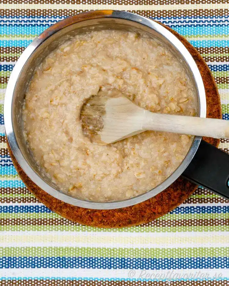 Kan katter spise havregrøt? Bild