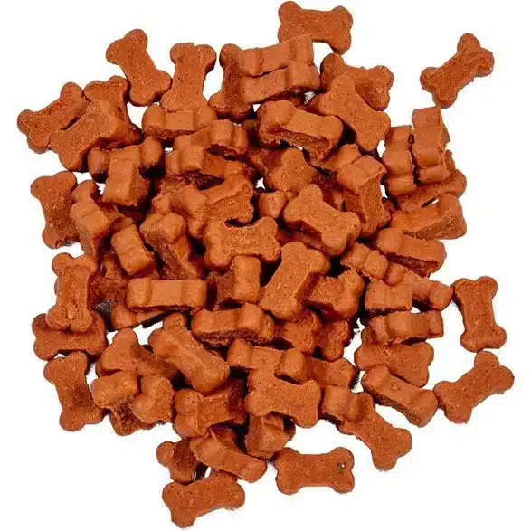 Kan katter spise hundegodteri? Bild