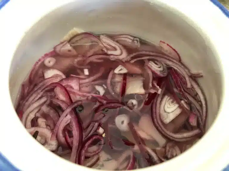 Kan katter spise syltet sild? Bild