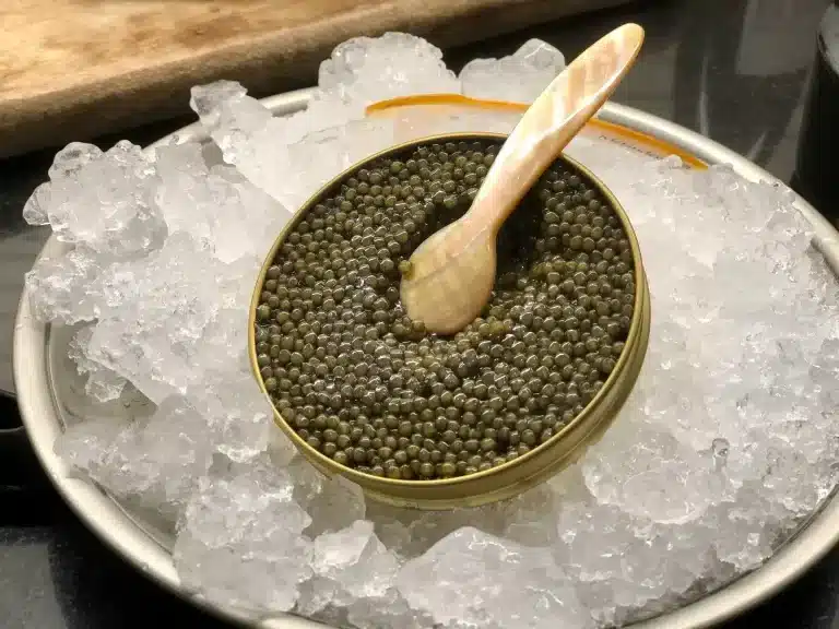 Kan katter spise kaviar? Bild