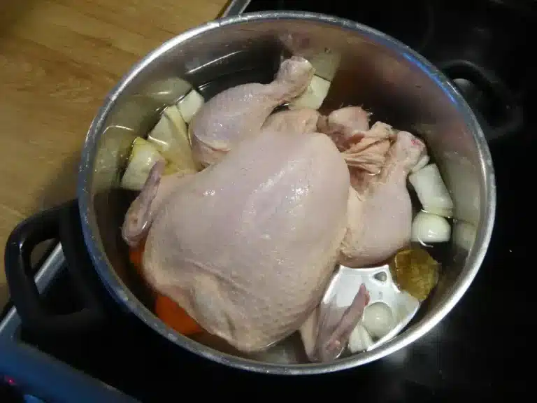 Kan katter spise kokt kylling? Bild