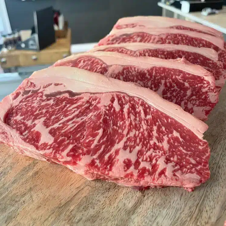 Kan katter spise rått storfekjøtt? Bild