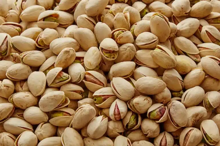 Kan katter spise pistasjnøtter? Bild