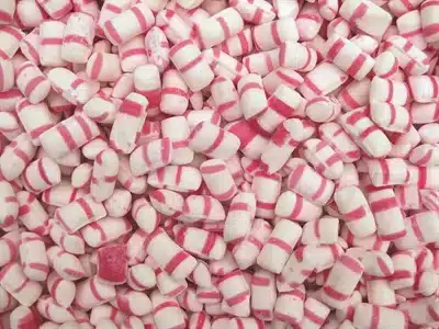 Kan katter spise polkagris? Bild