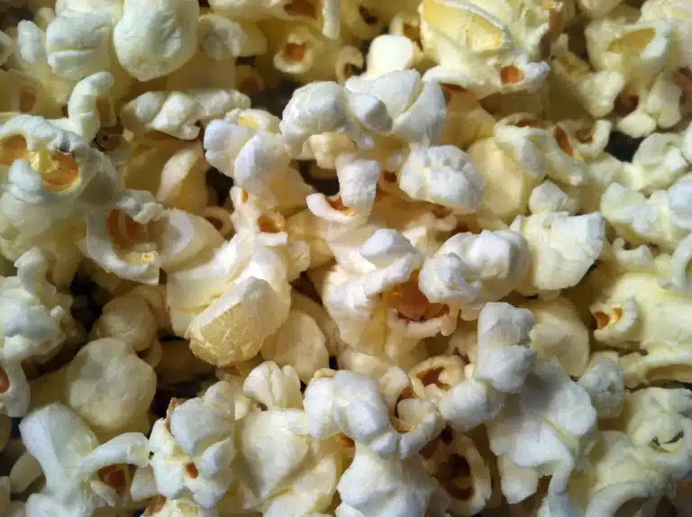Kan katter spise popcorn? Bild