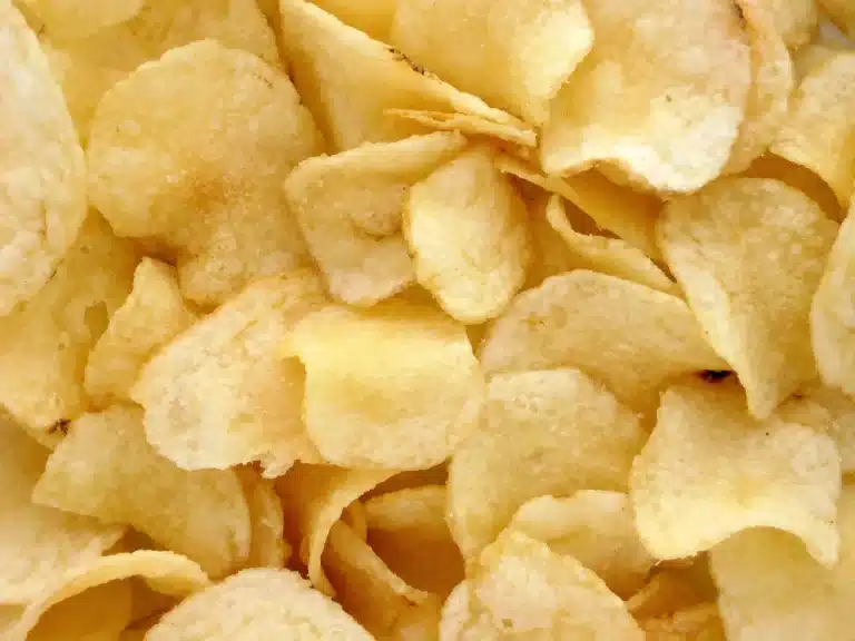 Kan katter spise chips? Bild