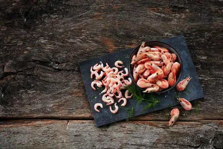 Kan katter spise reker med skall? Bild