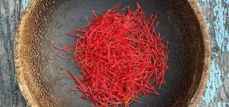 Kan katter spise safran? Bild