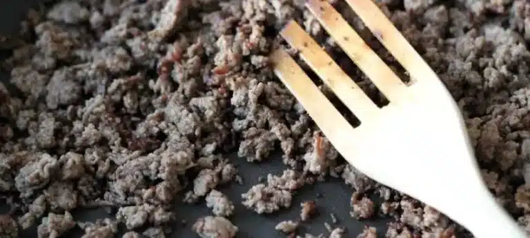 Kan katter spise stekt kjøttdeig? Bild