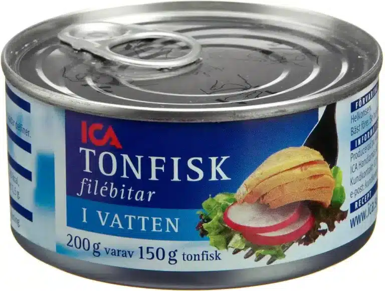 Kan katter spise tunfisk i vann? Bild