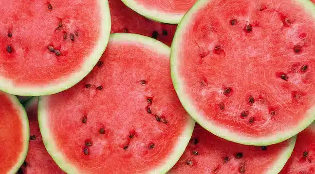 Kan katter spise vannmelon? Bild