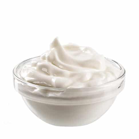 Kan katter spise yoghurt? Bild