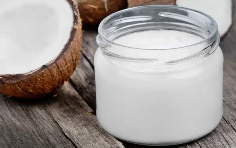 Kan katter spise kokosolje? Bild