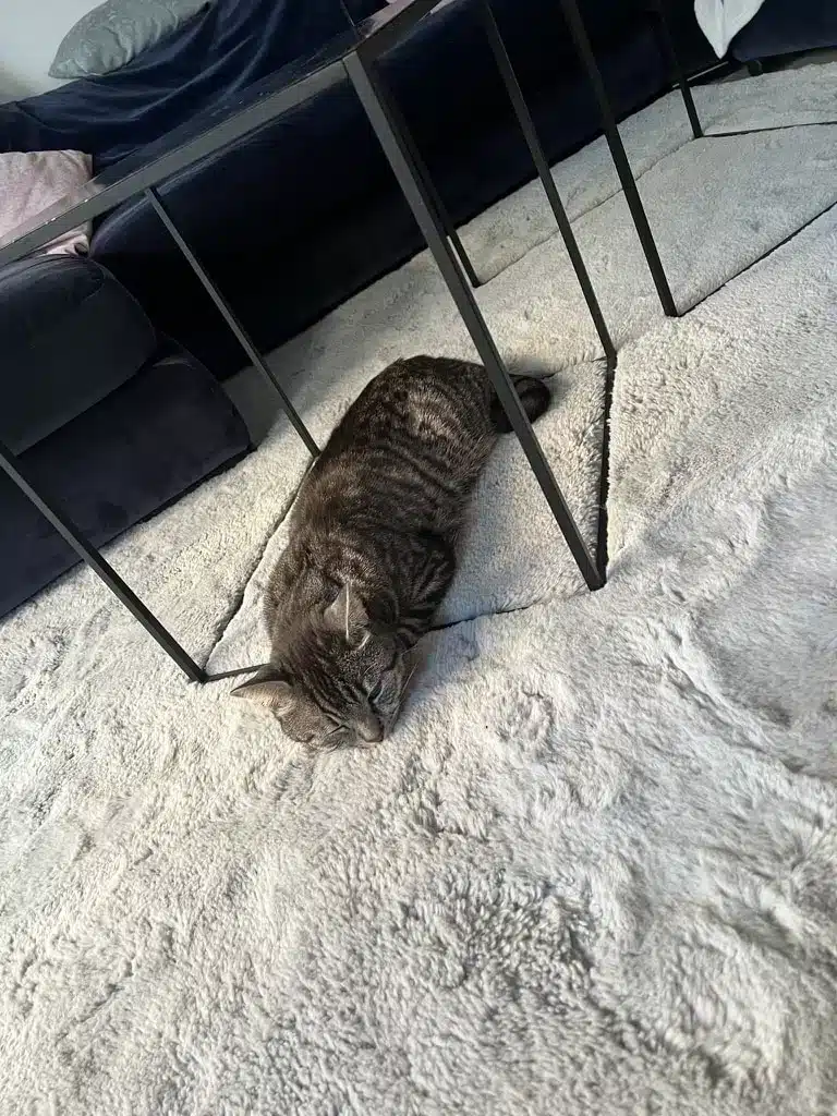 Joris ligger på fluffmattan och sover