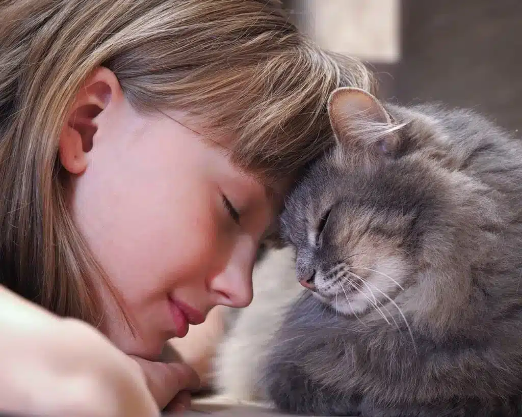 Taylor Swift med sin katt